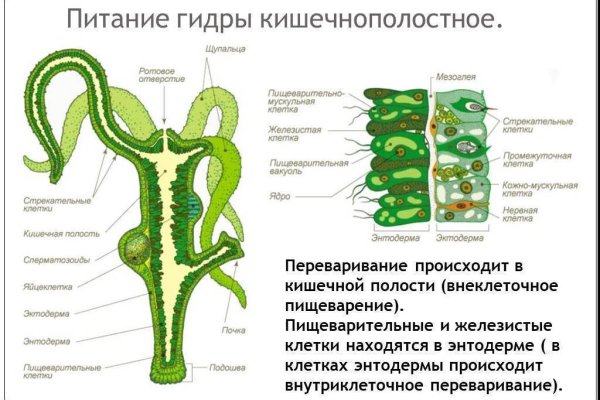 Не зачисляются деньги на кракен